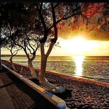 Hellas Dream *
